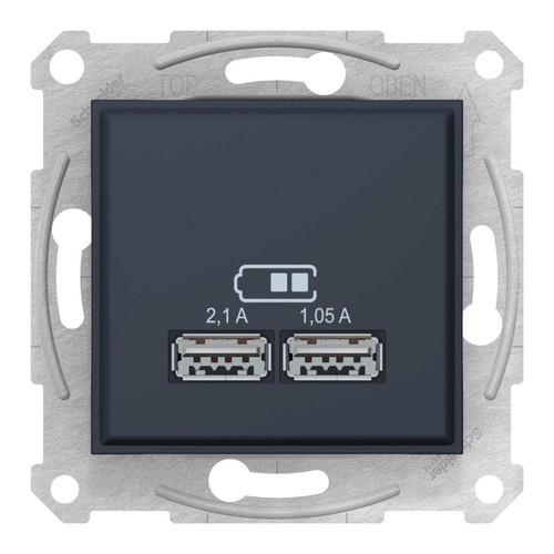 Розетка 2xUSB Schneider Electric SEDNA, графит